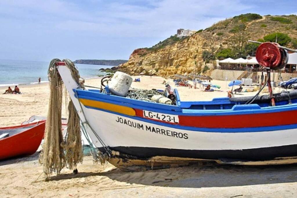Muramaris ساليما المظهر الخارجي الصورة